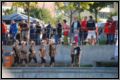dsc_6606.jpg