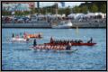 dsc_6816.jpg