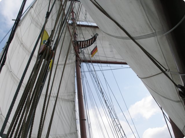 p9081060.jpg
