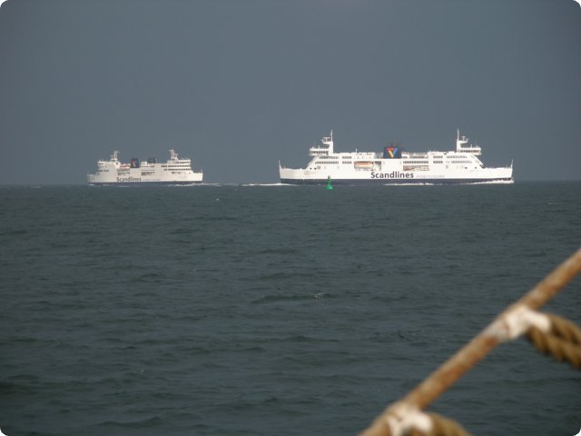 p9081070.jpg