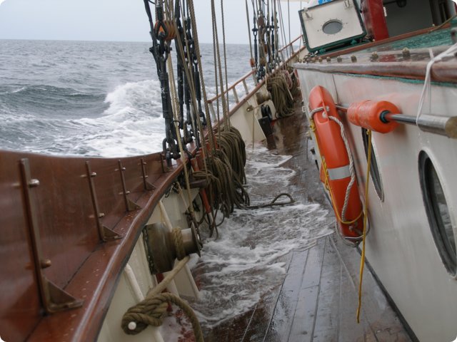 p9081076.jpg