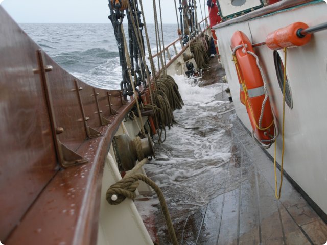 p9081077.jpg