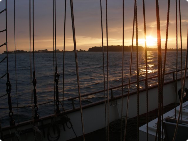 p9081078.jpg