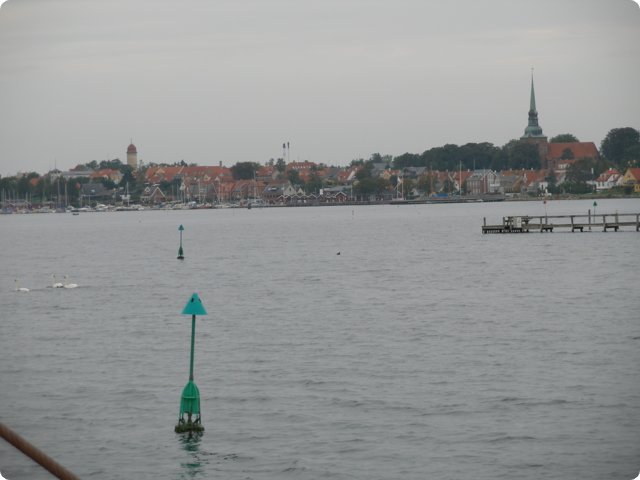 p9091116.jpg
