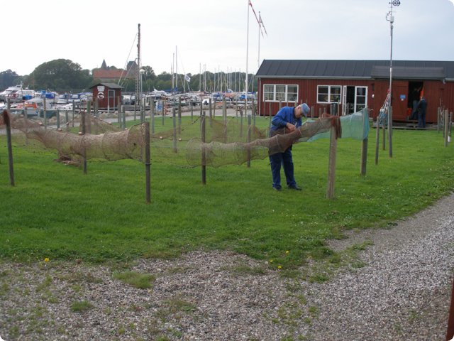 p9091130.jpg