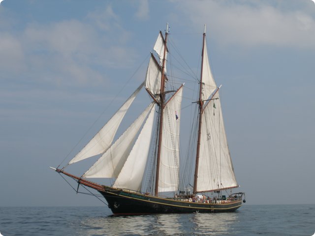 p9101251.jpg