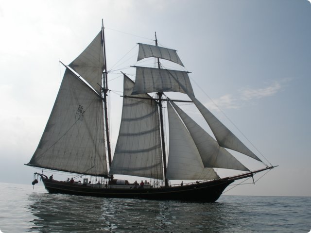 p9101256.jpg