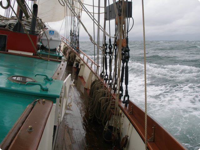 p9121362.jpg
