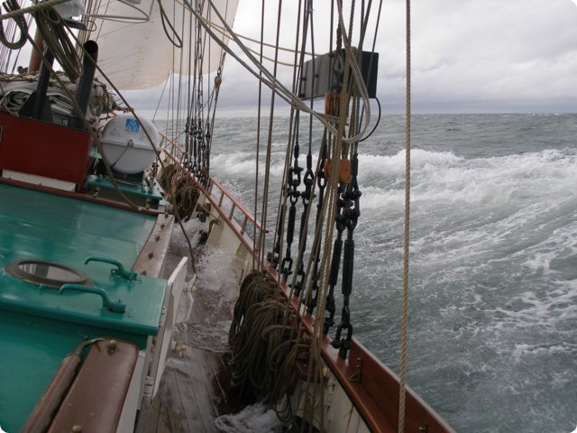 p9121364.jpg