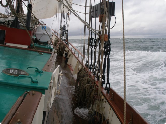 p9121366.jpg
