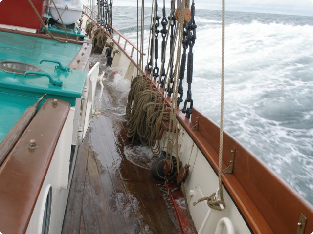 p9121367.jpg