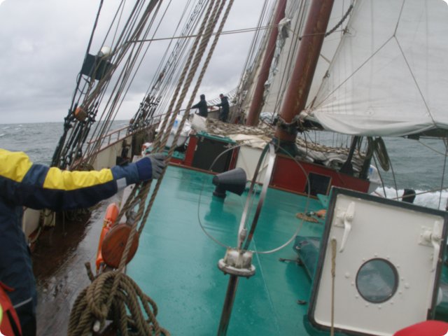 p9121368.jpg