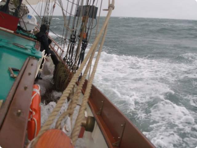 p9121384.jpg