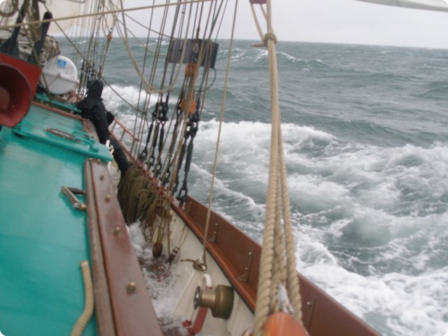 p9121385.jpg